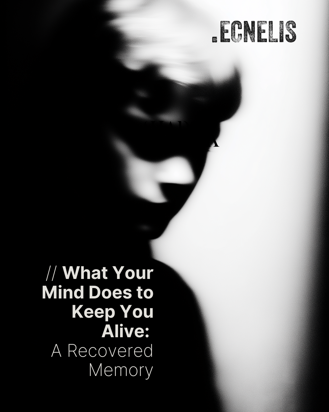 The World My Mind Built (And What I Lost When I Understood It)